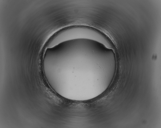 X0000090460926200708031238