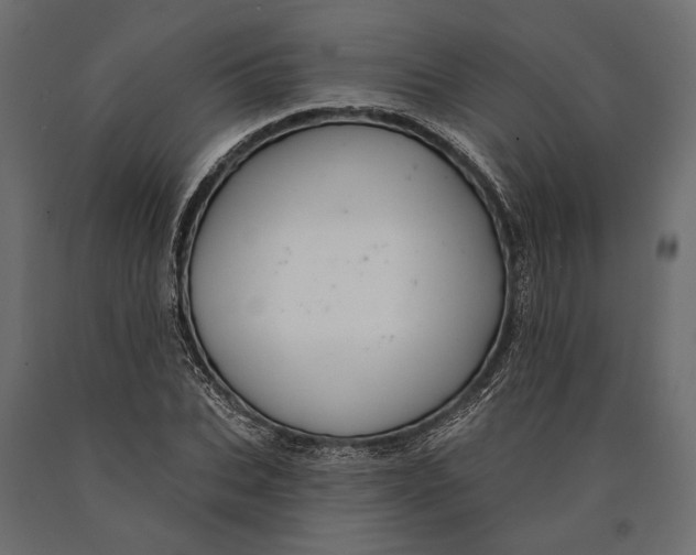 X0000090460927200708031238