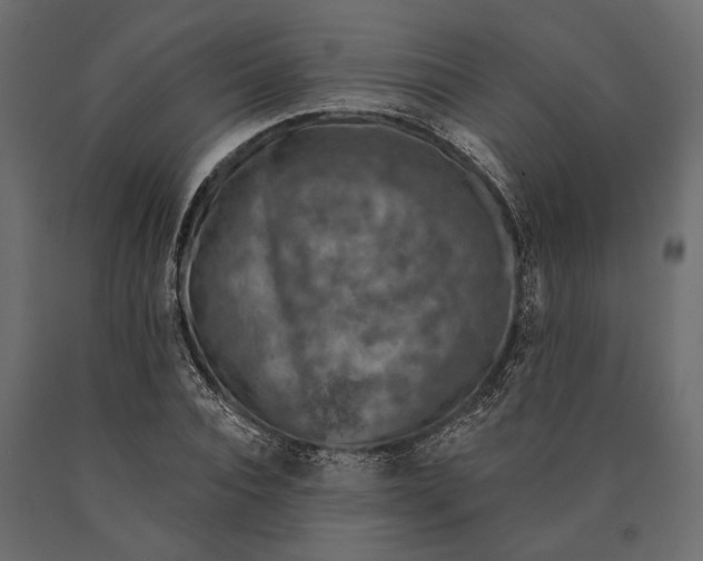 X0000090460928200708031238
