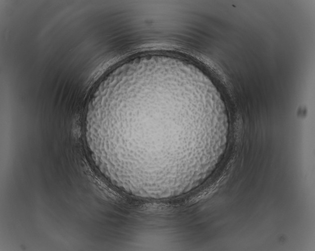 X0000090460929200708031238