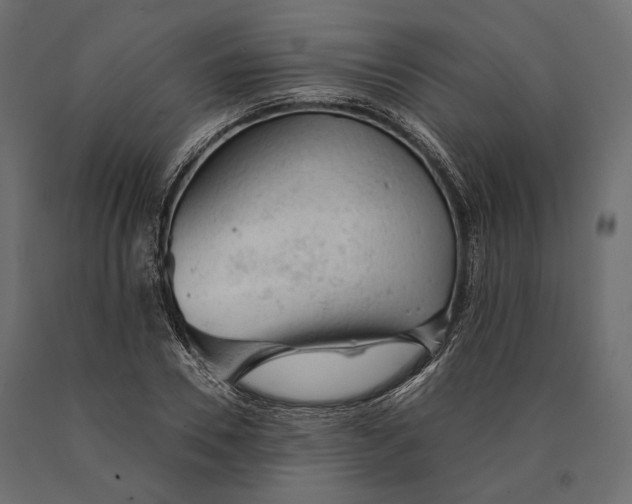 X0000090460930200708031238