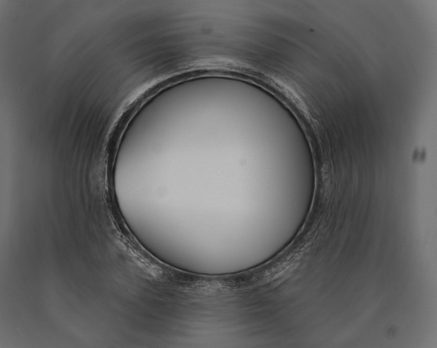 X0000090460931200708031238