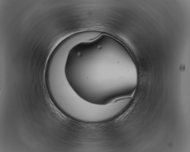 X0000090460932200708031238