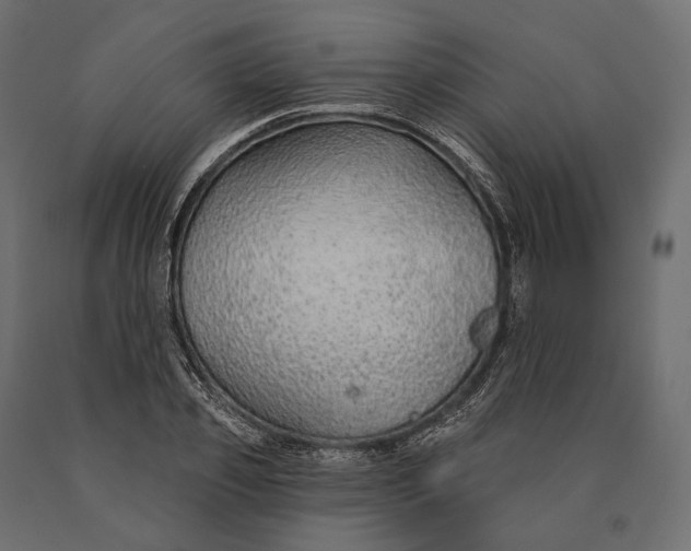 X0000090460933200708031238