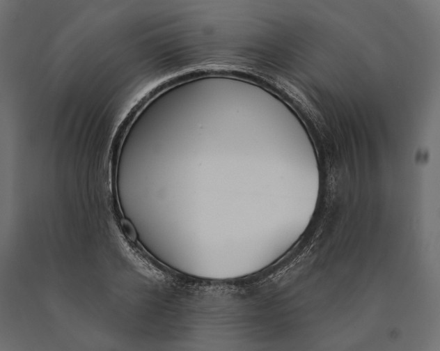 X0000090460934200708031238