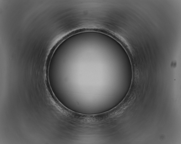 X0000090460935200708031238