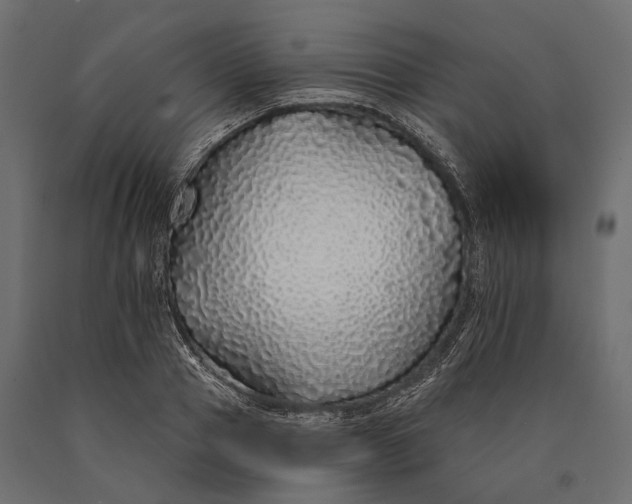 X0000090460937200708031238