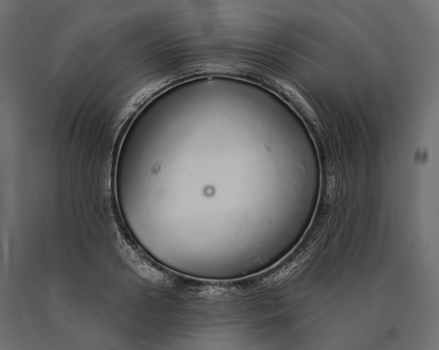 X0000090460938200708031238