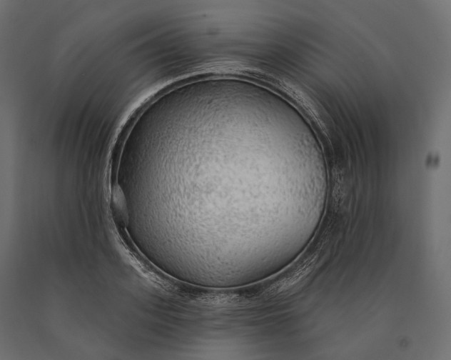 X0000090460939200708031238