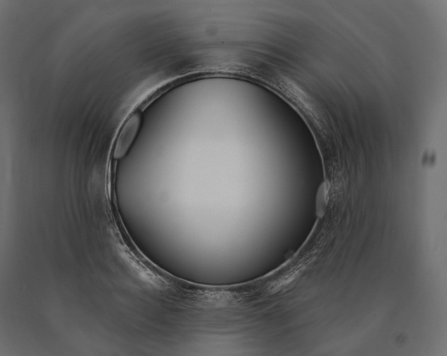 X0000090460940200708031238