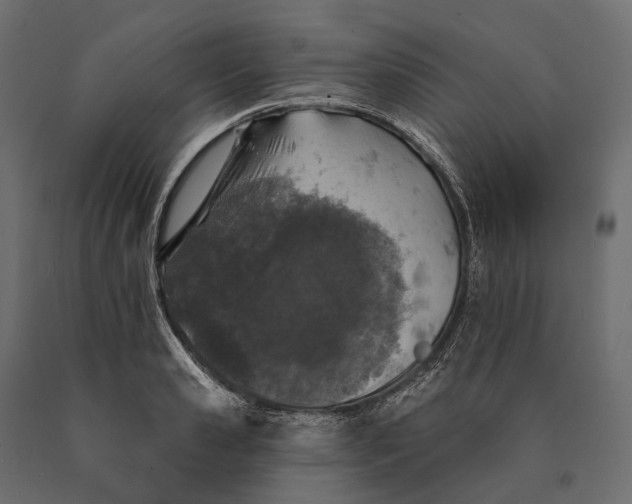 X0000090460941200708031238