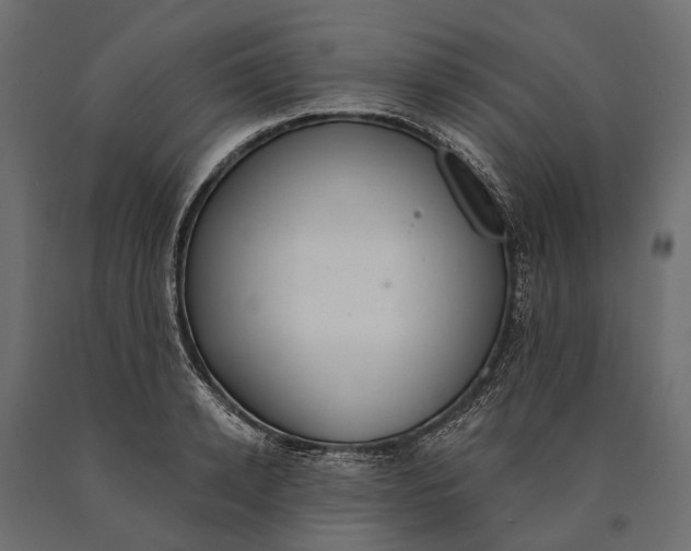 X0000090460942200708031238