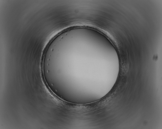 X0000090460943200708031238