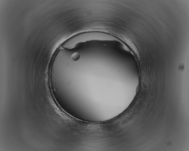 X0000090460944200708031238