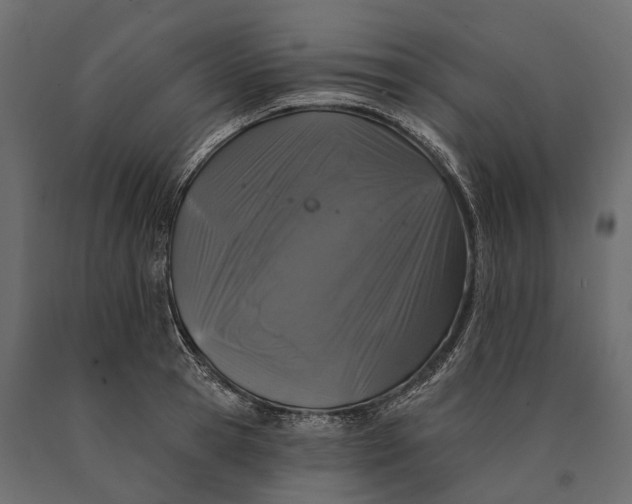 X0000090460945200708031238