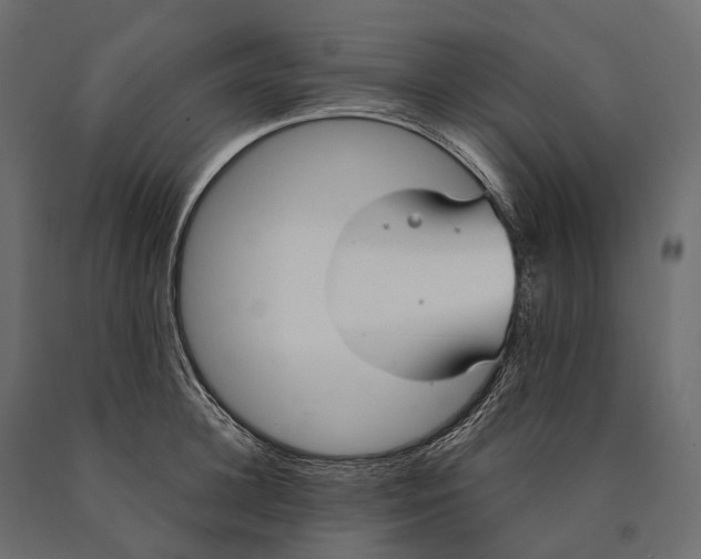 X0000090460948200708031238