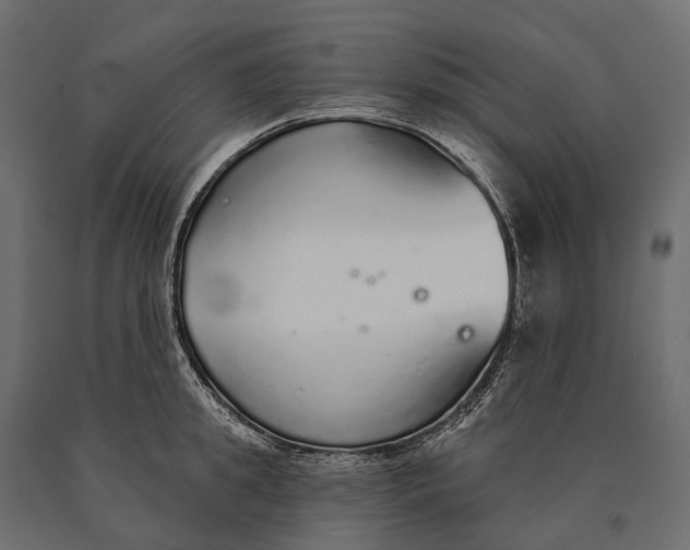 X0000090460949200708031238