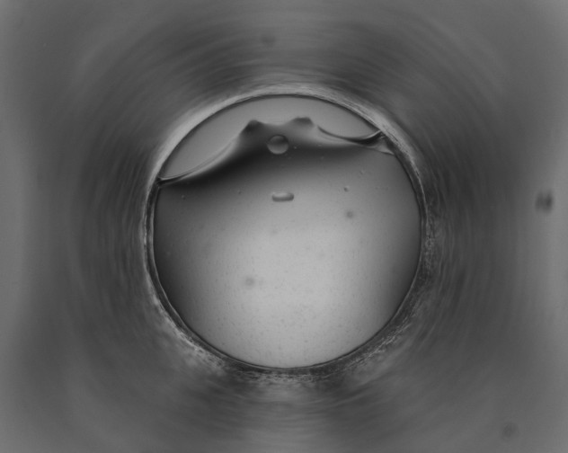 X0000090460951200708031238