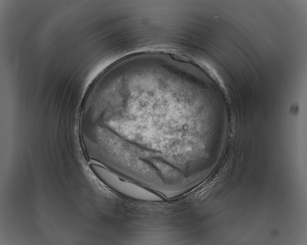 X0000090460952200708031238
