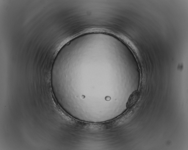 X0000090460953200708031238