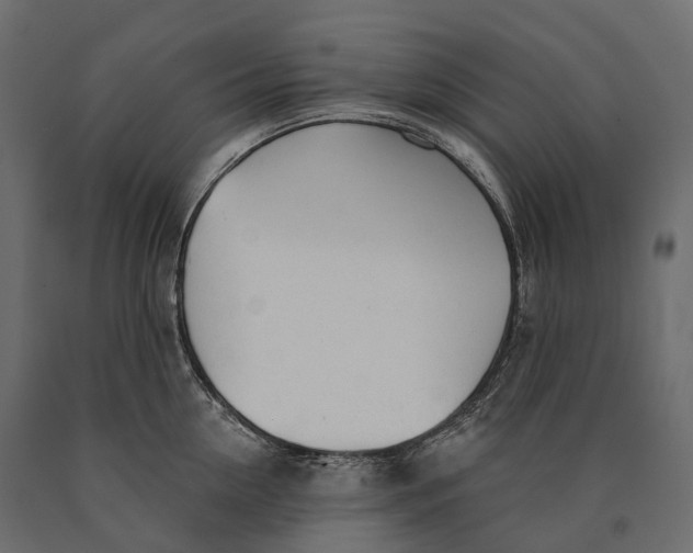 X0000090460954200708031238
