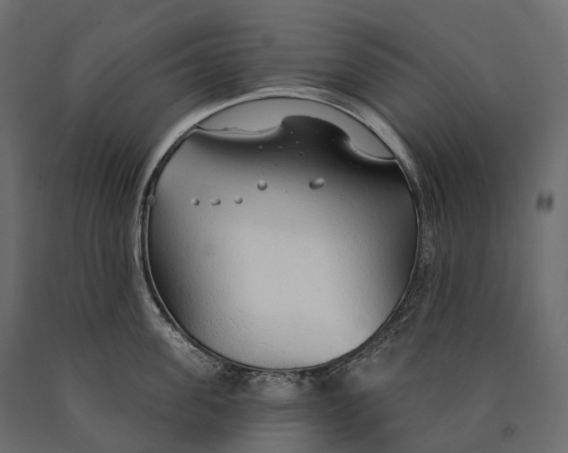 X0000090460955200708031238