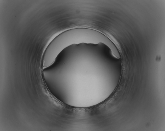 X0000090460956200708031238