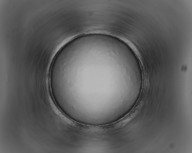 X0000090460957200708031238