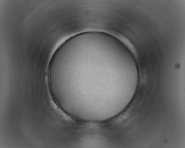 X0000090460958200708031238