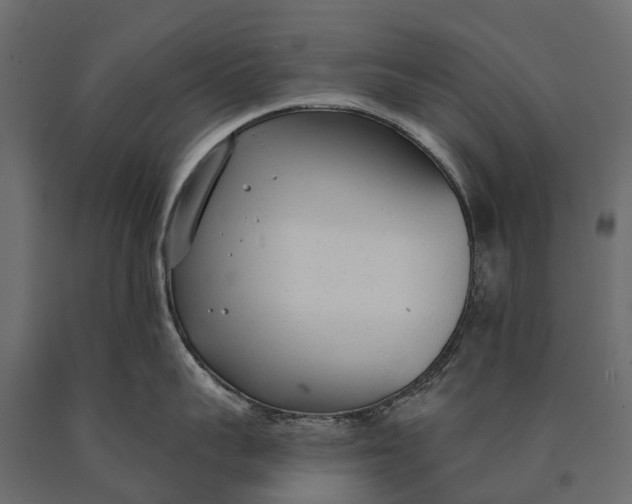 X0000090460959200708031238