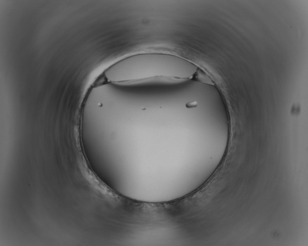 X0000090460960200708031238