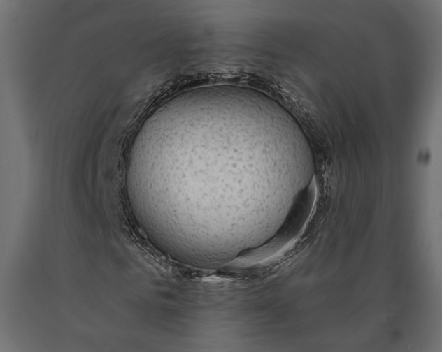 X0000090460961200708031237