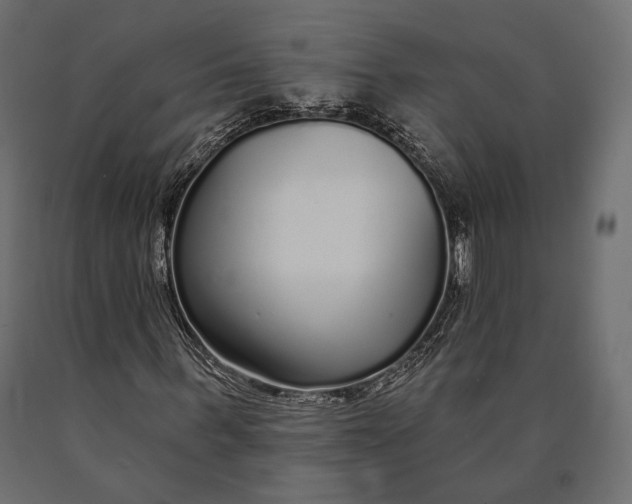 X0000090460963200708031237