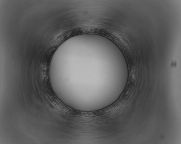 X0000090460964200708031237