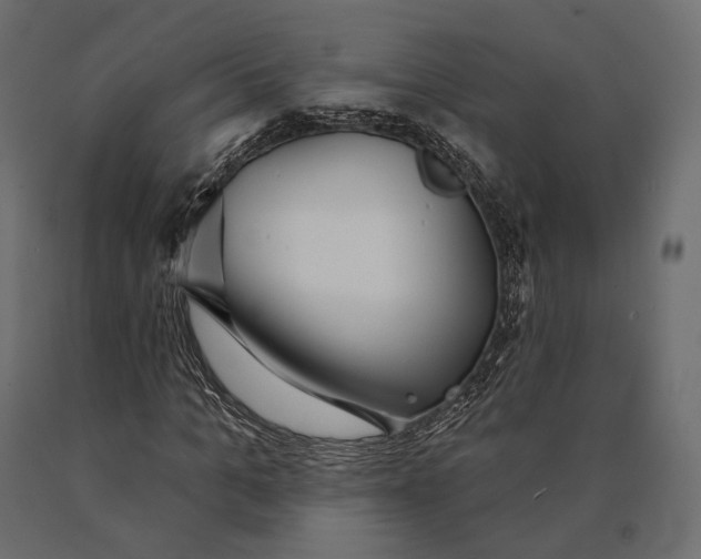 X0000090460965200708031237