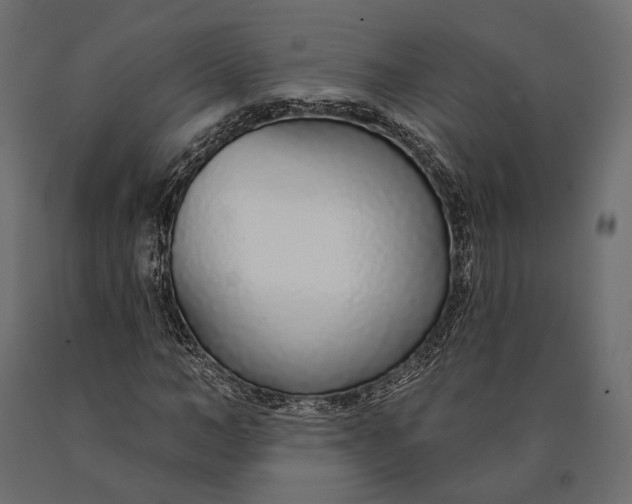X0000090460966200708031237