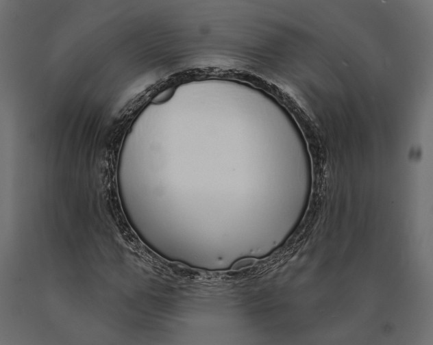 X0000090460967200708031237