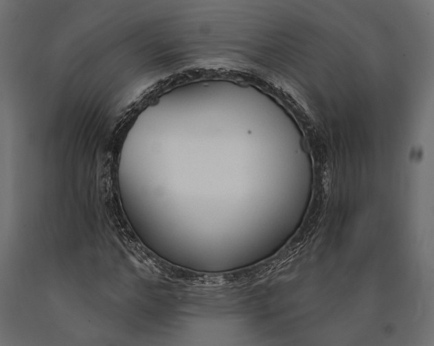 X0000090460968200708031237