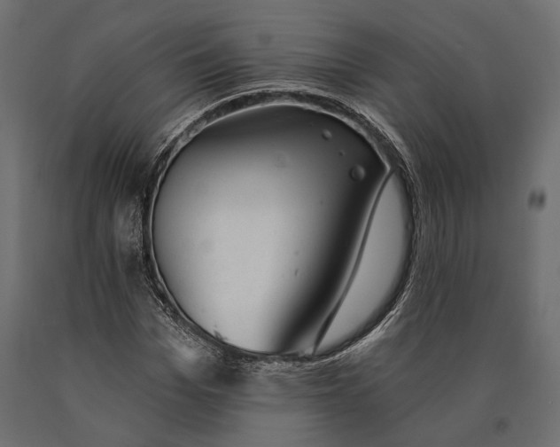 X0000090460969200708031237