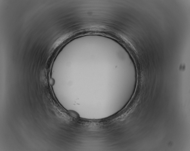 X0000090460970200708031237