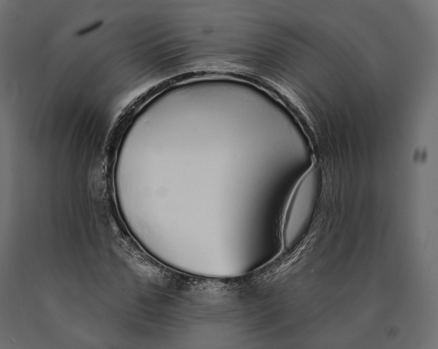X0000090460971200708031237