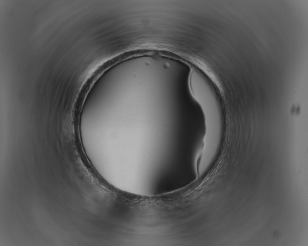 X0000090460972200708031237