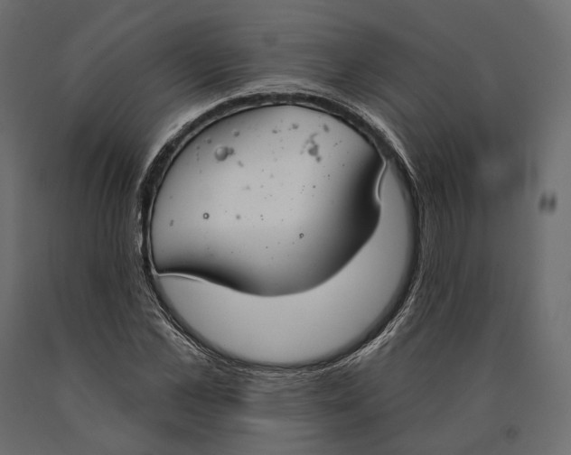 X0000090460973200708031237