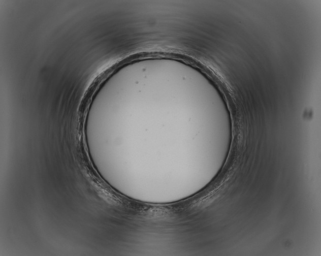 X0000090460974200708031237