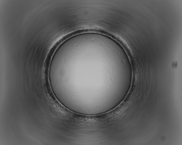 X0000090460975200708031237