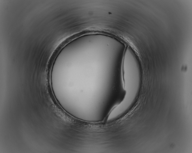 X0000090460976200708031237