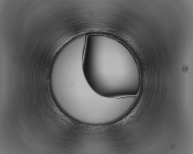 X0000090460977200708031237