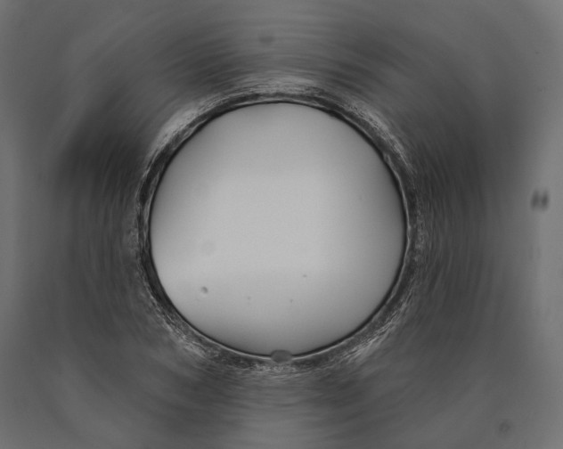 X0000090460978200708031237