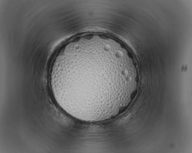 X0000090460979200708031237