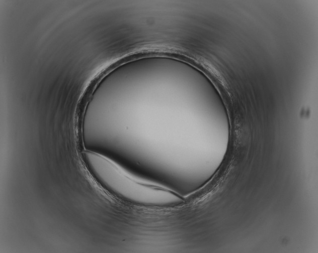 X0000090460981200708031237